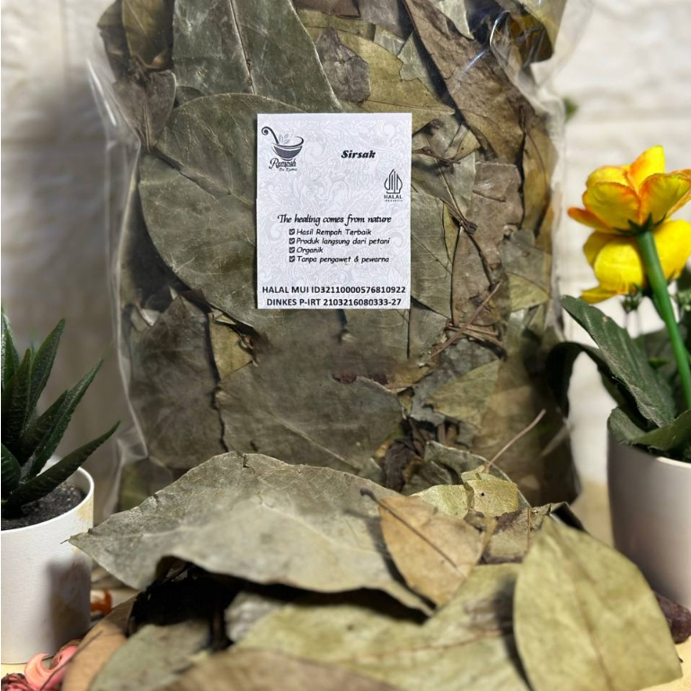 

RK01 Daun Sirsak Kering 500 Gram Grade A - Daun Sirsat Rempah Bu Risma