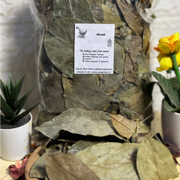

KTr190 Daun Sirsak Kering 500 Gram Grade A - Daun Sirsat Rempah Bu Risma