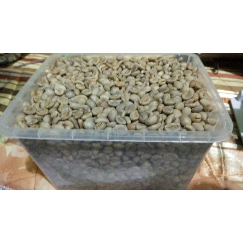 

Green Bean Robusta KAGURA SORTIR 7MM Petik merah