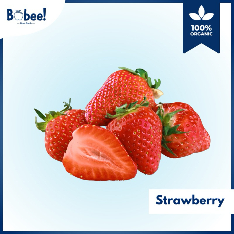 

Buah Strawberry Lokal Super Fresh & Premium | Bobee.official - (Instant/Sameday)