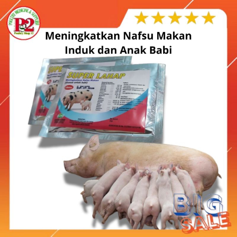 SUPER LAHAP BABI Obat penambah nafsu makan babi Obat Babi tidak mau makan