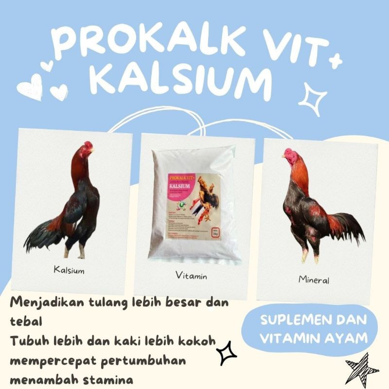 Artavela45 Prokalk Vit Plus Premix Ayam Kalsium Ayam Bangkok Suplemen Ayam Laga Vitamin Ayam