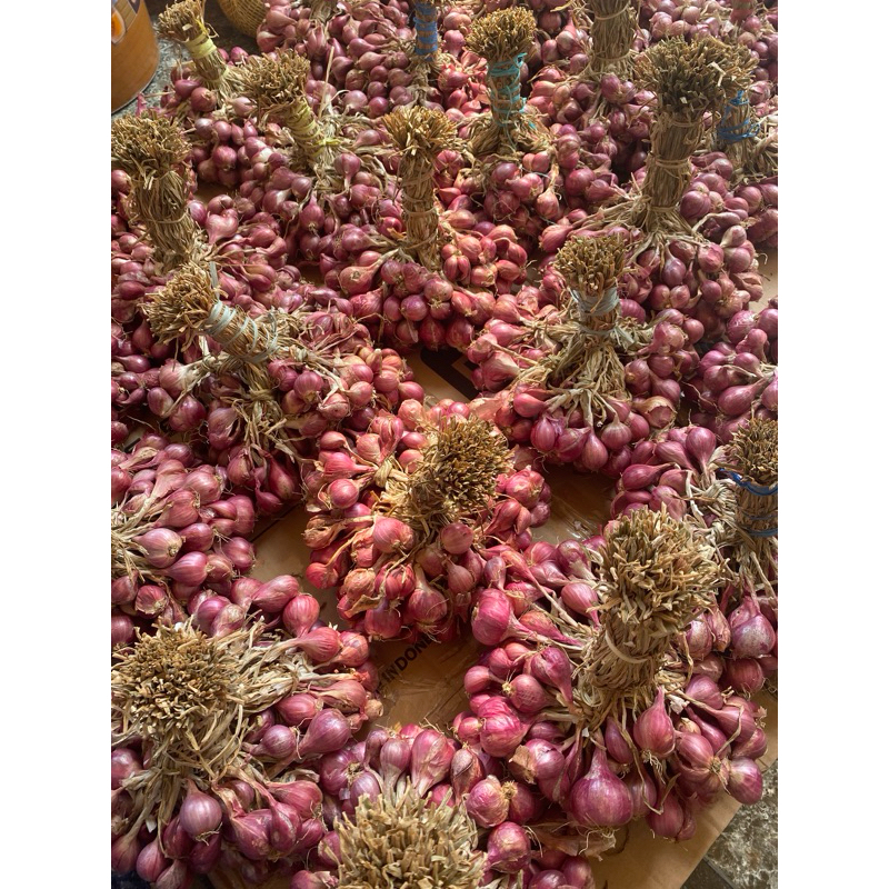 

BAWANG MERAH OMBYOK AWET TAHAN LAMA