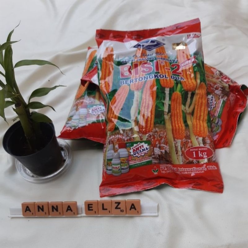 Benih jagung Bisi 2 1 kg