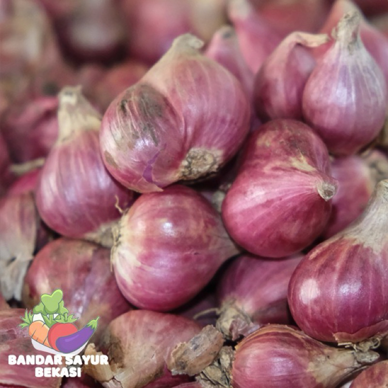 

Bawang Merah Brebes Super 250gr