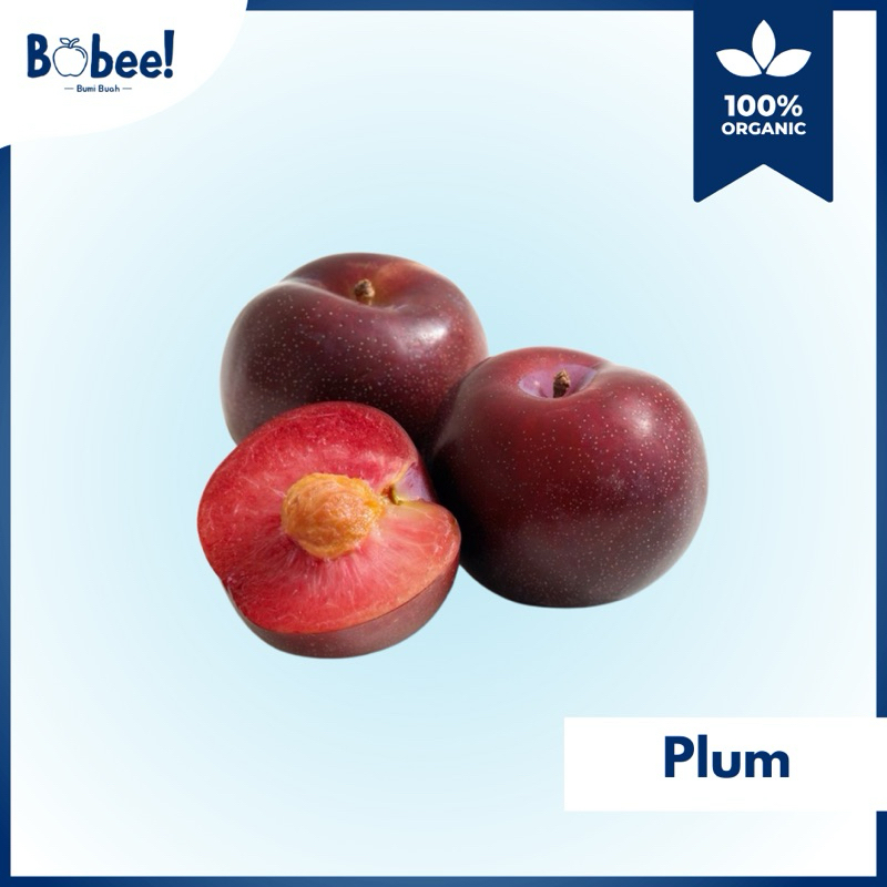 

Buah Red Plum Super Fresh & Premium | Bobee.official - (Instant/Sameday)