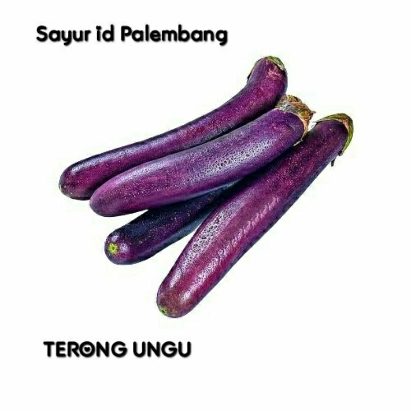 

[ DIKIRIM INSTAN ] Terong ungu - Sayur id Palembang