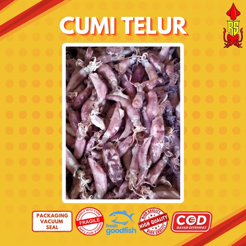 

[COD] CUMI TELOR ASIN KERING / CUMI TELOR KERING / CUMI ASIN / CUMI ASIN KERING / PROMO CUMI ASIN / IKAN ASIN / CUMI ASIN MURAH / CUMI ASIN TERMURAH - IKAN ASIN RS