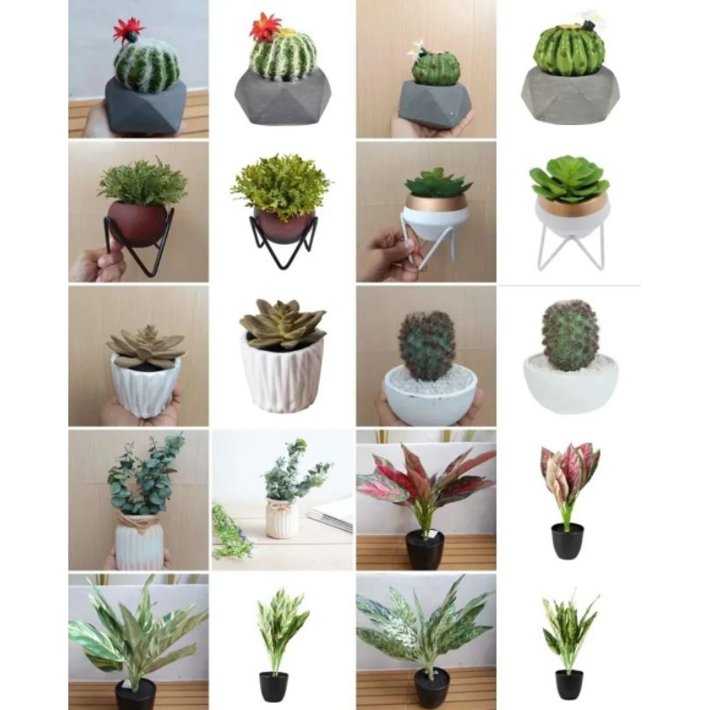 Tanaman Plastik Pajangan Ace Hardware Informa