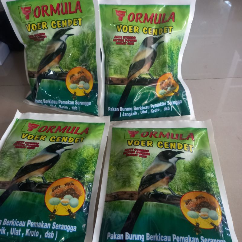 formula voer cendet / voer cendet cucak jalak tilang dll