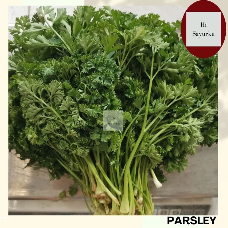 

PARSLEY SEGAR
