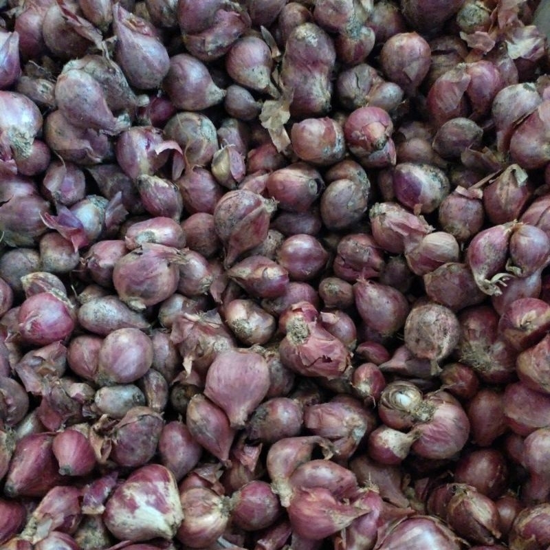 

Bawang merah brebes original pilihan termurahhh