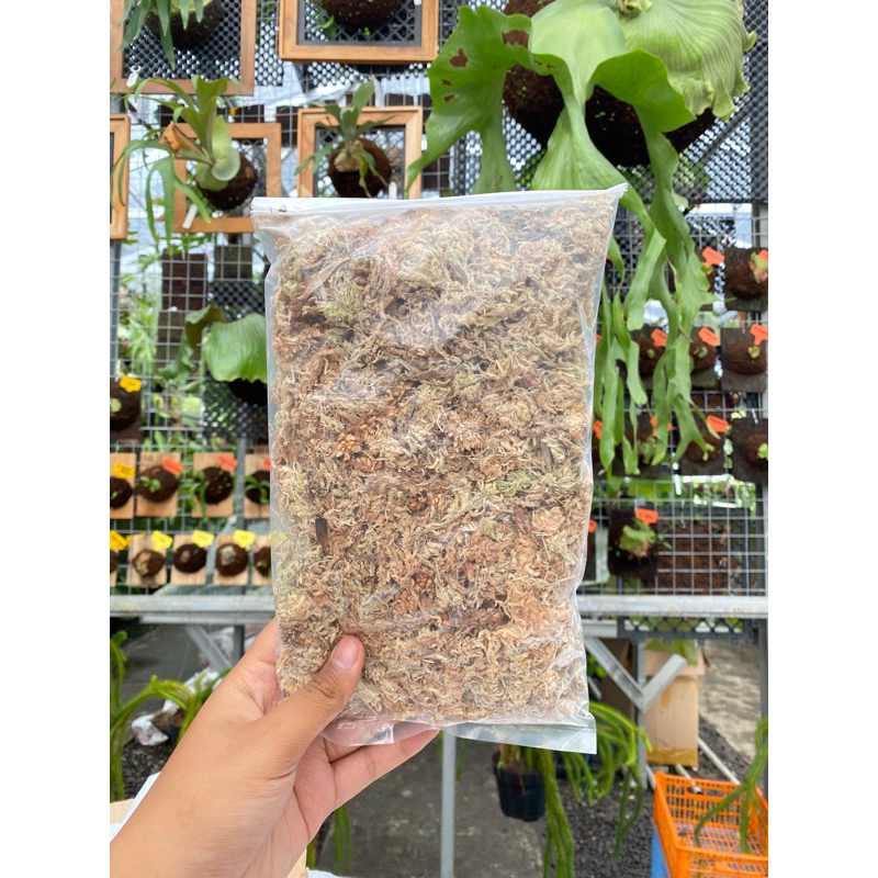 Sphagnum moss plastik 1,5kg