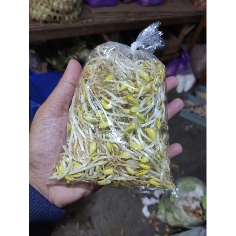 

Kecambah Kedelai 200g Toge Dele - Sayur Jogja
