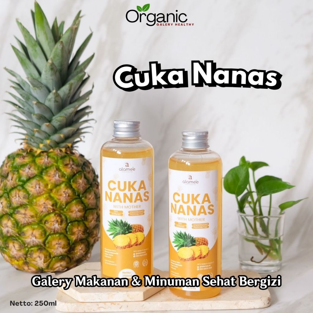 

Cuka Nanas Original Buah Nanas Alami With Mother Pineapple Cider Vinegar Obat Diabetes Penurun Gula Darah Natural Organik 250ml