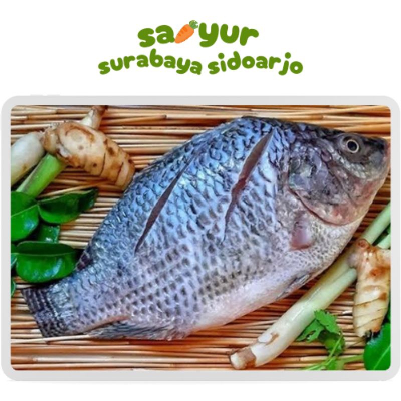 

Ikan Air Tawar 500g sayur surabaya sidoarjo