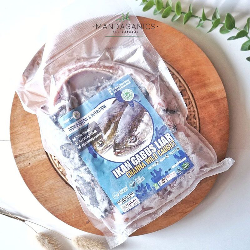 

IKAN GABUS LIAR by PURE ORGANIC | CHANNA WILD CAUGHT | HIGIENIS | TANPA PENGAWET | TANPA FORMALIN