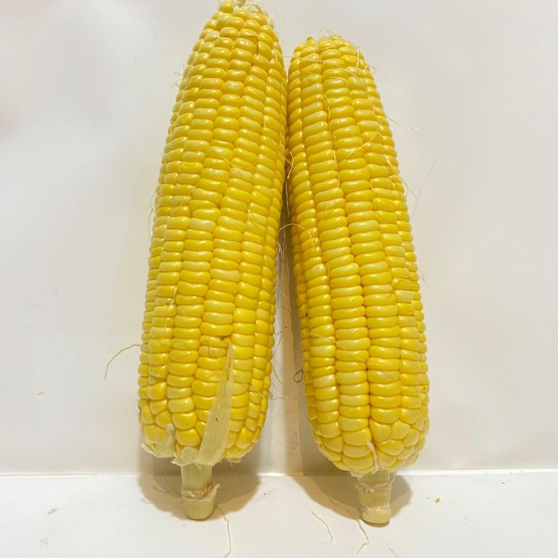 

Jagung Manis 1kg