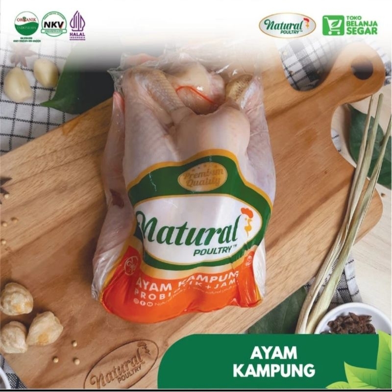 

AYAM KAMPUNG ORGANIK SEHAT MPASI