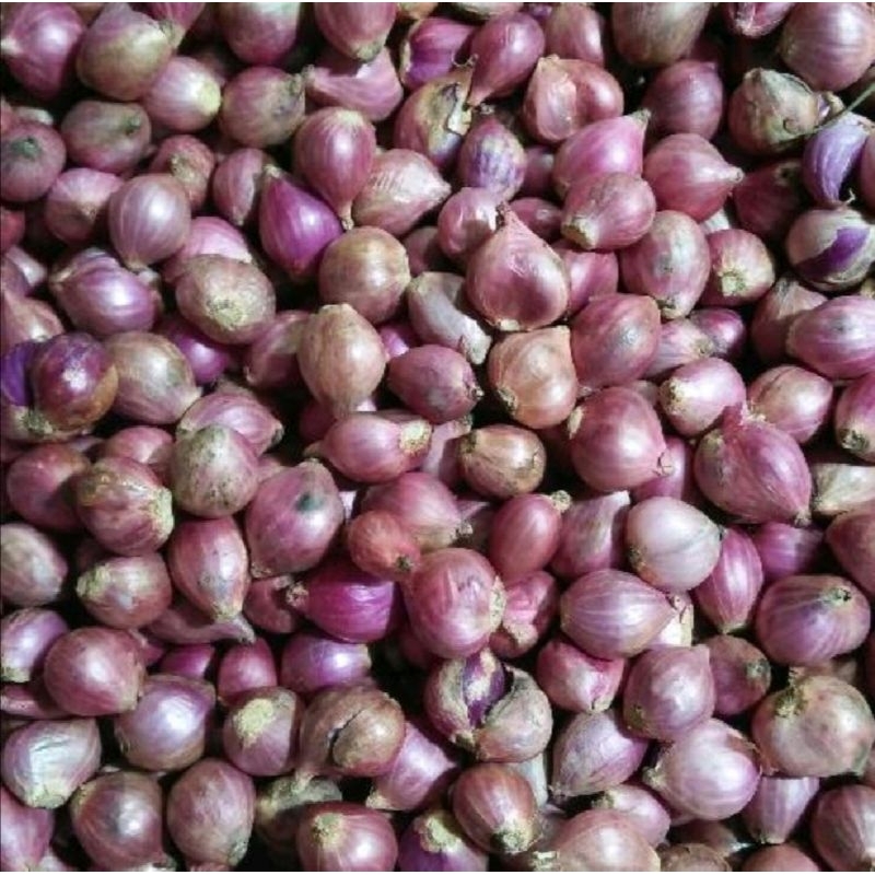 

BAWANG MERAH JAWA 250 GR