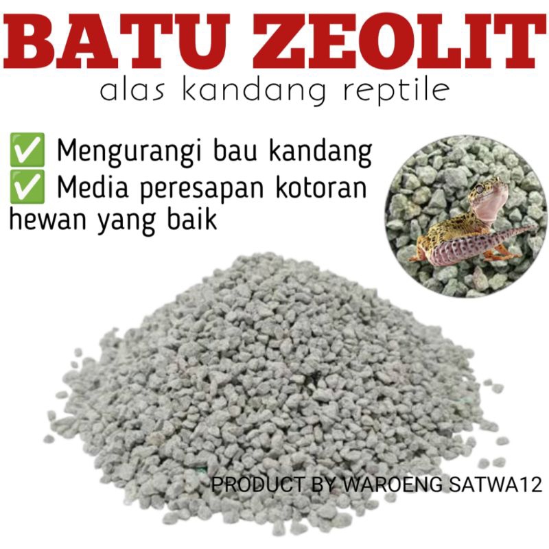 BATU ZEOLIT ZEOLIT ALAS KANDANG REPTILE GECKO LEOPARD GEKO TOKEK BEARDED DRAGON BD SUBSTRAT MAMALIA 