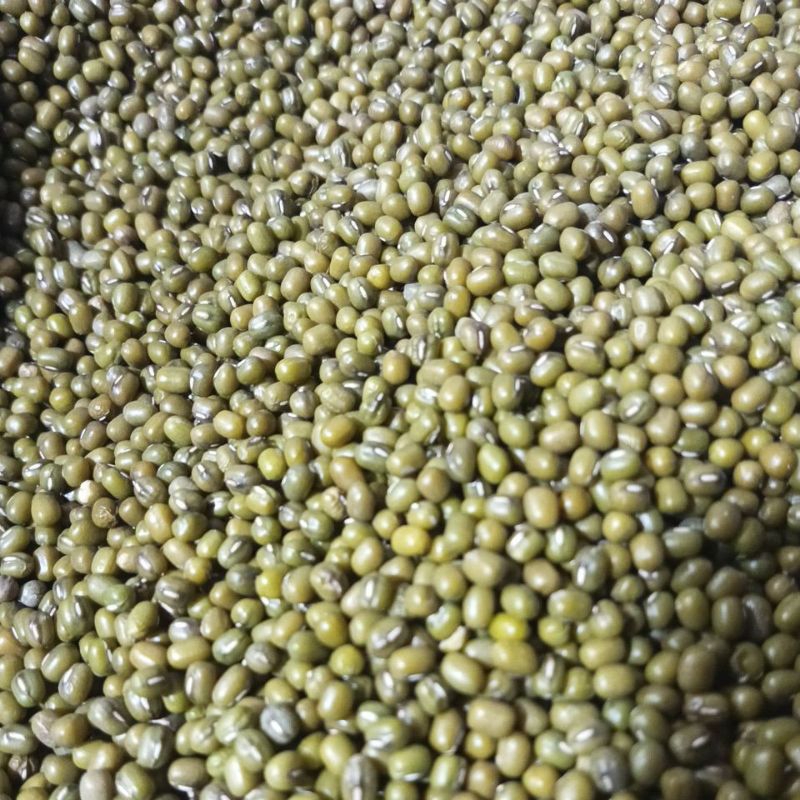 

Kacang Hijau 500 gram