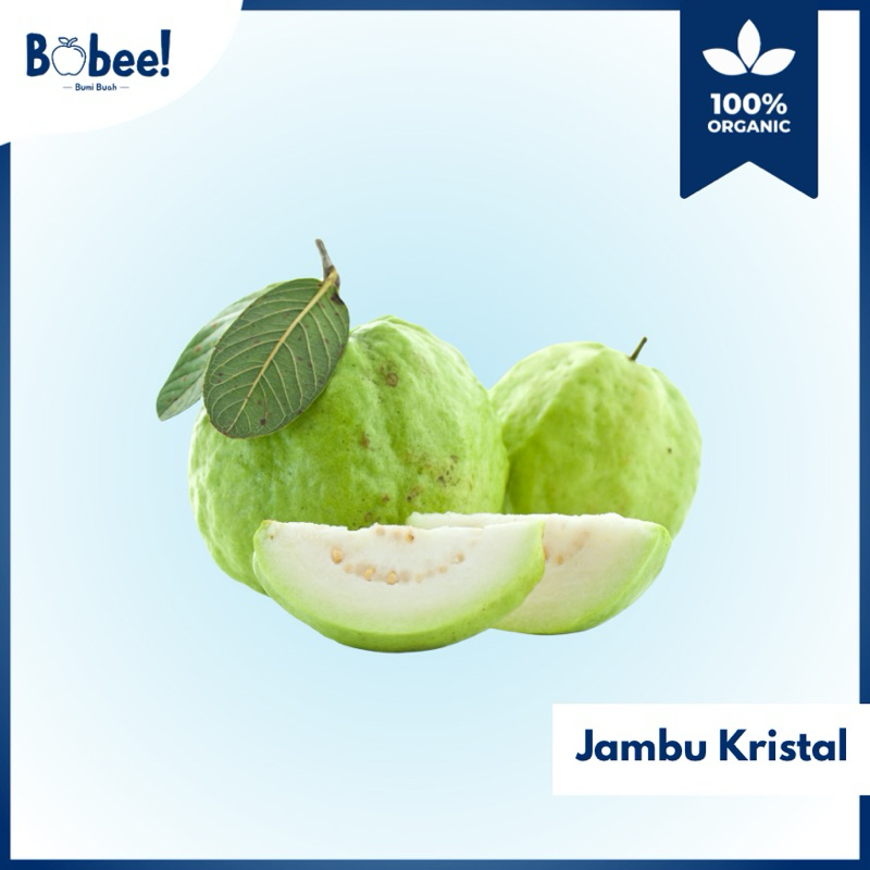 

Buah Jambu Kristal 1Kg Fresh & Premium | Bobee.official - (Instant/Sameday)