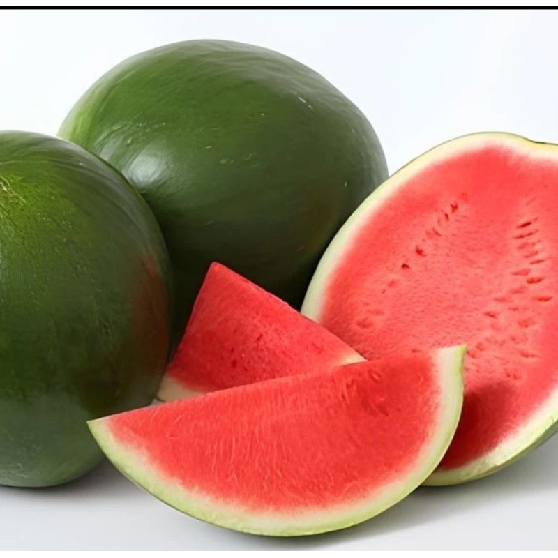 4 Benih Biji Bibit Semangka Tanpa Biji