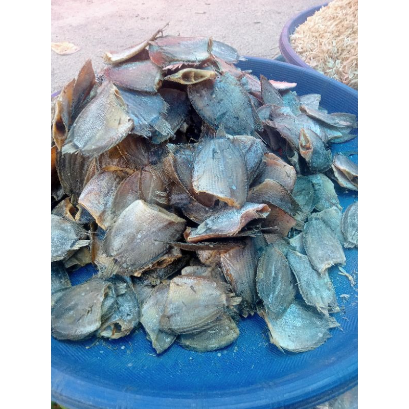 

ikan sepat 250 gram