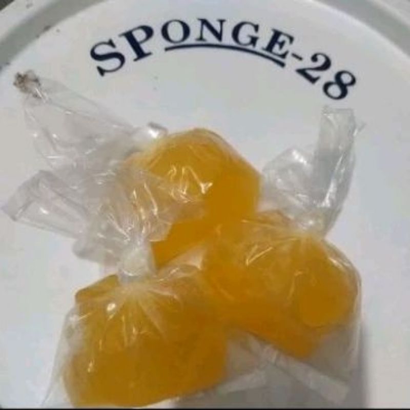 

Sponge 28 Repack 100 gram