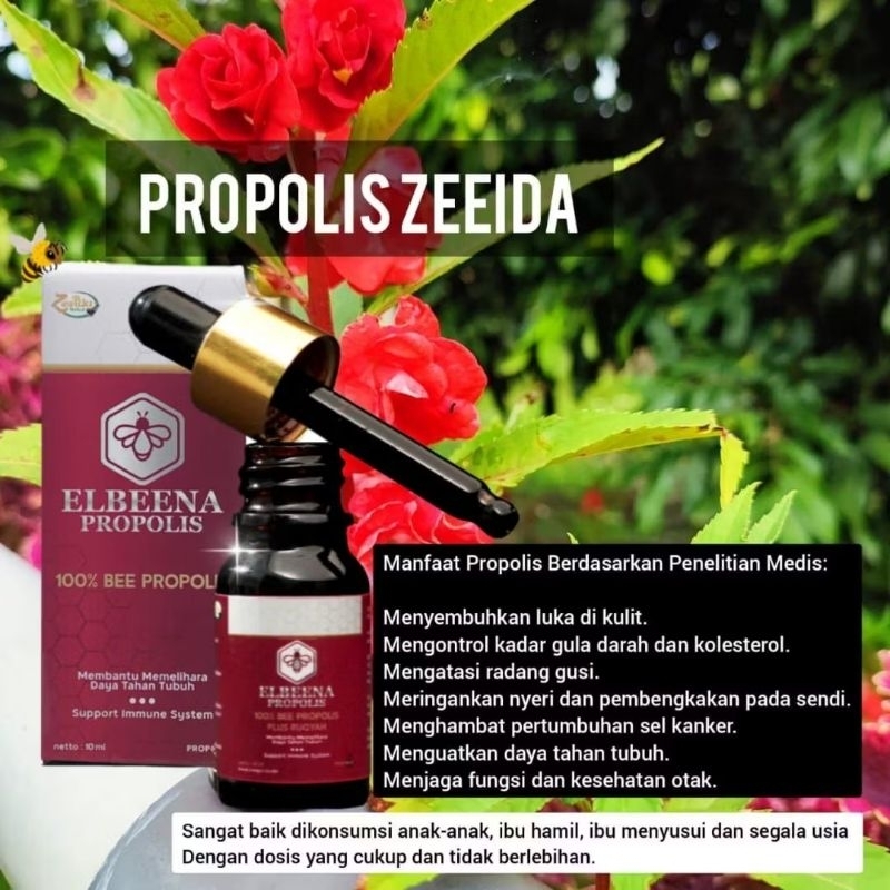 Propolis zeeida kesehatan ketahanan imun tubuh