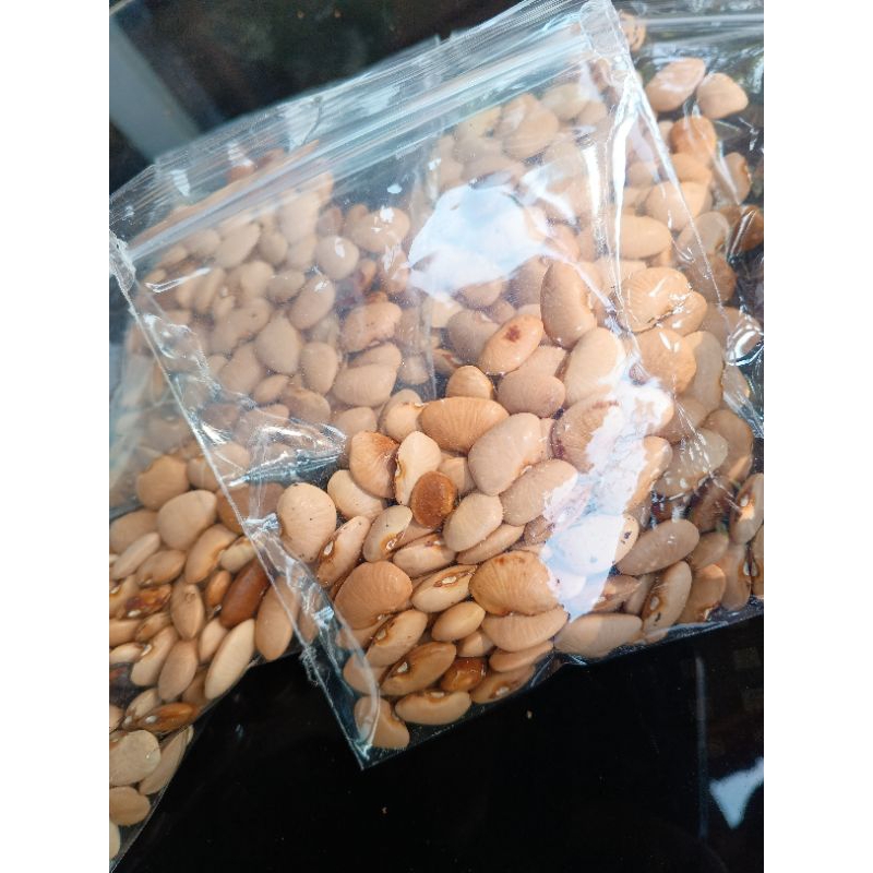 

Bibit kacang Roay / kacang kratok (200 gram)