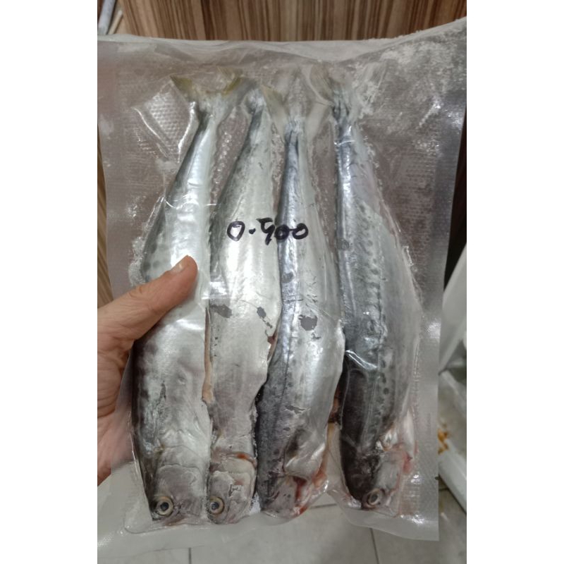 

Ikan Tenggiri baby 500gr