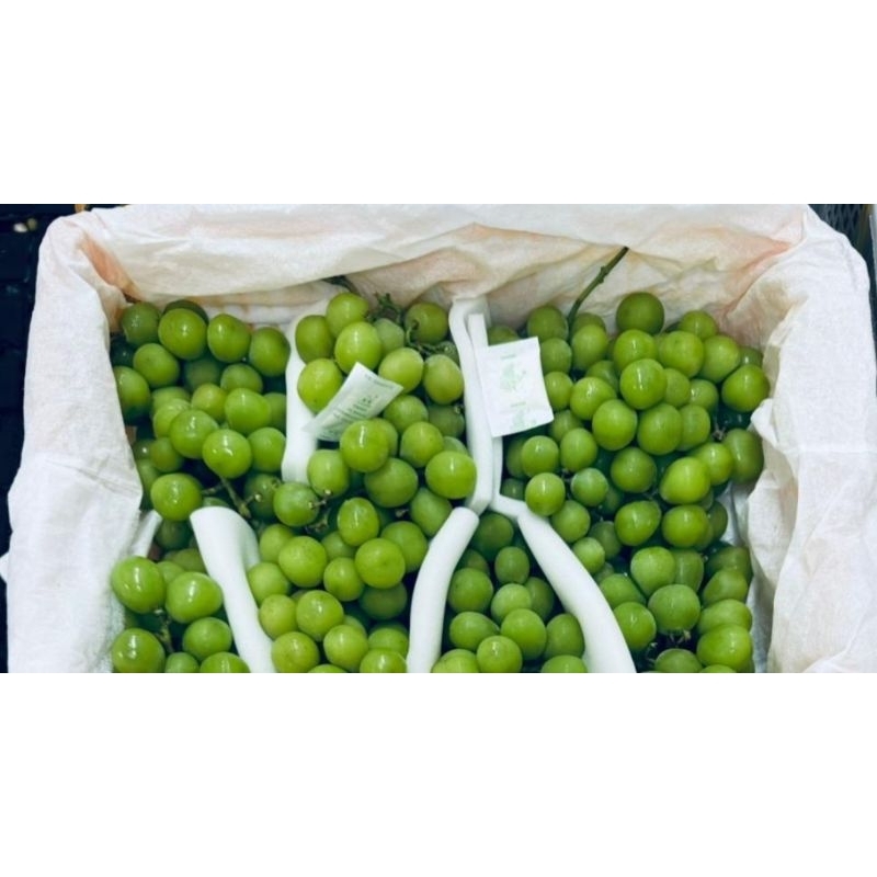

Shine Muscat Curah 1kg