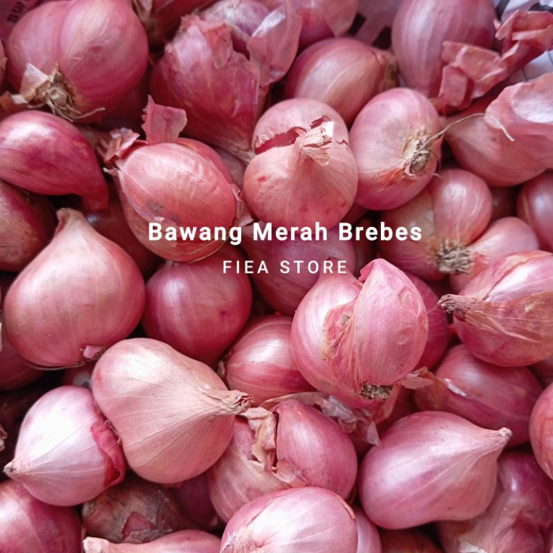 

BAWANG MERAH BREBES 1 Kilogram || Bawang Merah Mentah Ukuran Sedang