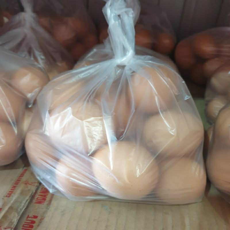 

Telur Ayam 1KG (Hanya Instan)