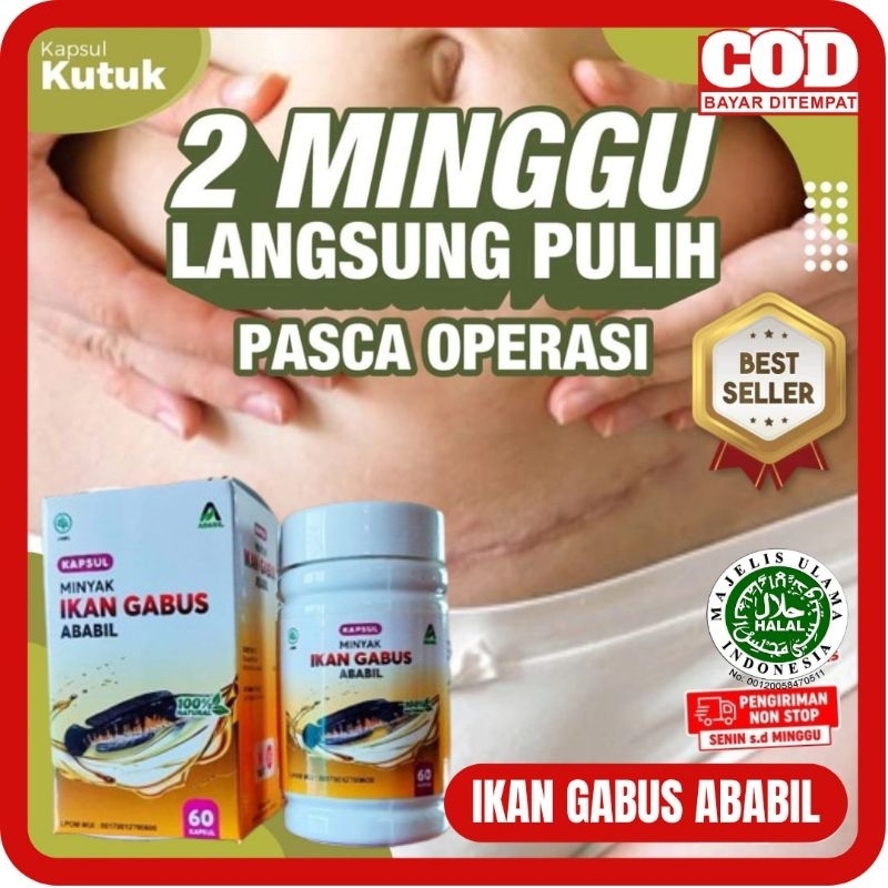 [BISA COD] KAPSUL MINYAK IKAN GABUS ABABIL ISI 60 - MINYAK IKAN GABUS PREMIUM KAPSUL KUTUK ALBUMIN T