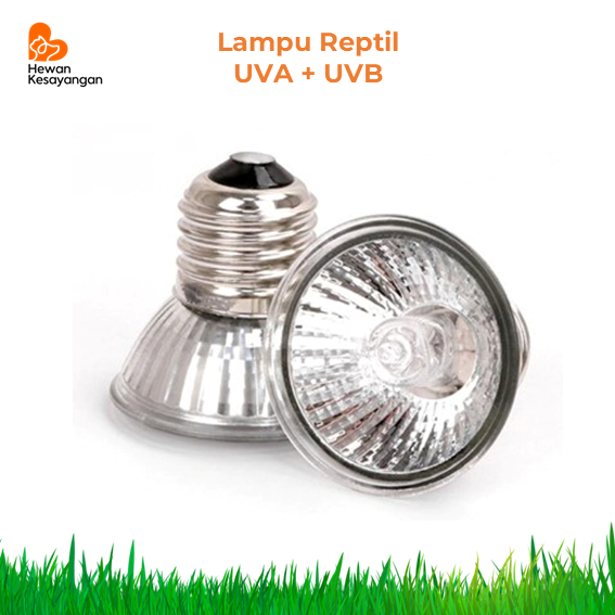 Lampu UVA UVB Lampu Reptil Kura kura Kadal Iguana dll