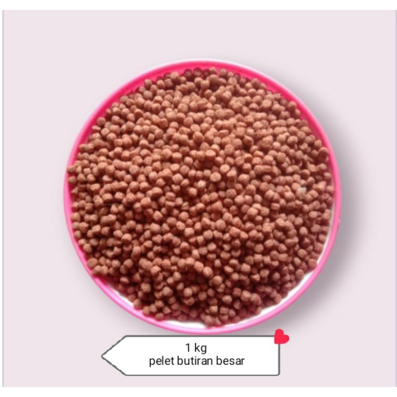 pelet ikan 1 kg /pelet butiran besar