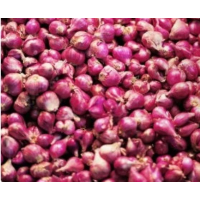 

bawang merah 500gr