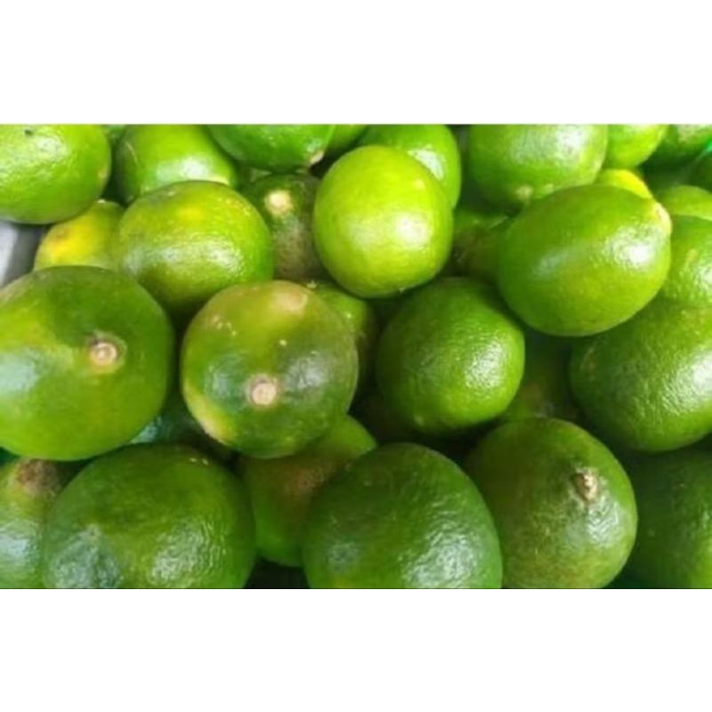 

jeruk nipis fresh segar hijau hijau