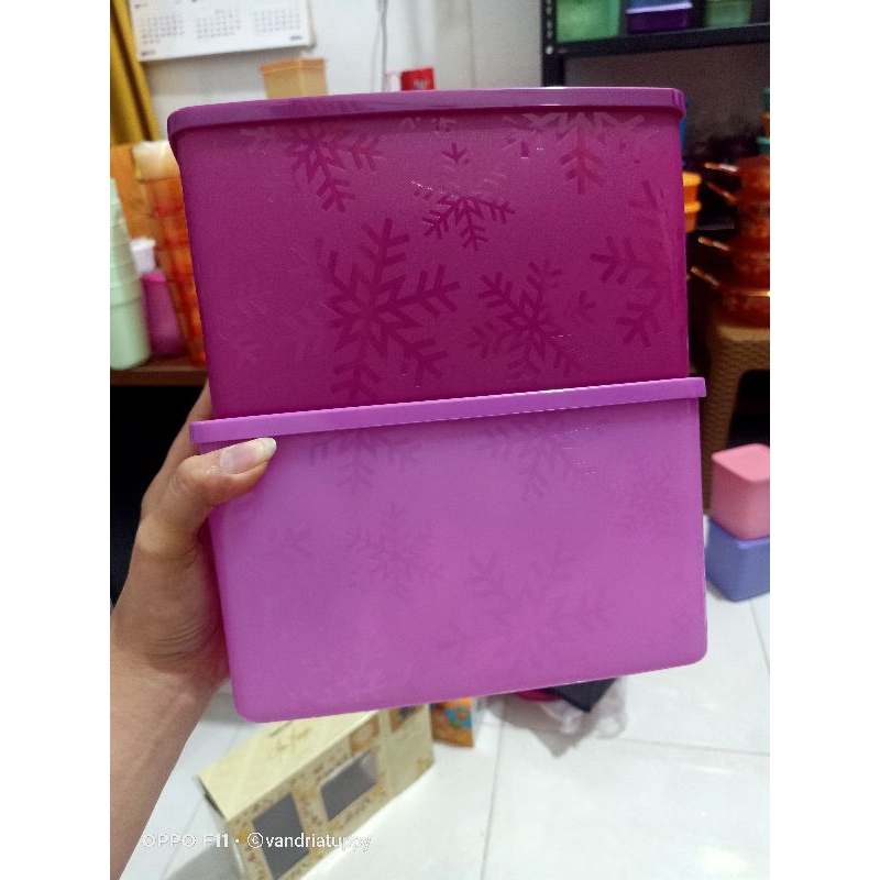 Wadah freezer 2.8l isi 2 untuk ikan daging