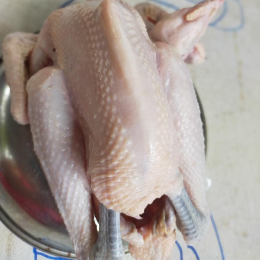 Promo ayam Kampung Murah Segar / Ayam / Ayam Kampung Segar