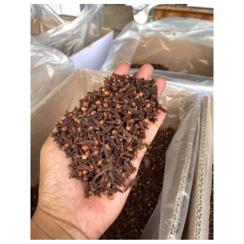 

cengkeh kering 250g|cengkeh premium