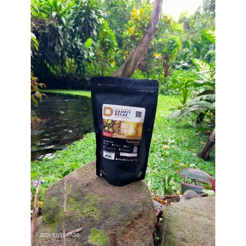 

RoyalGoldenRobustaDampit