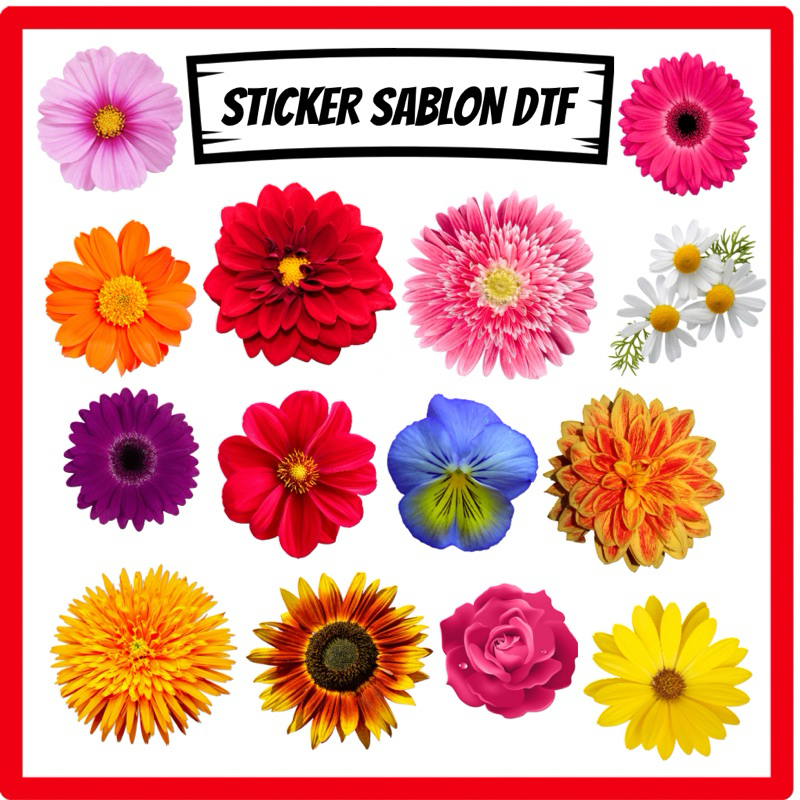 

STICKER SABLON DTF MOTIF BUNGA 7 x 7 Cm