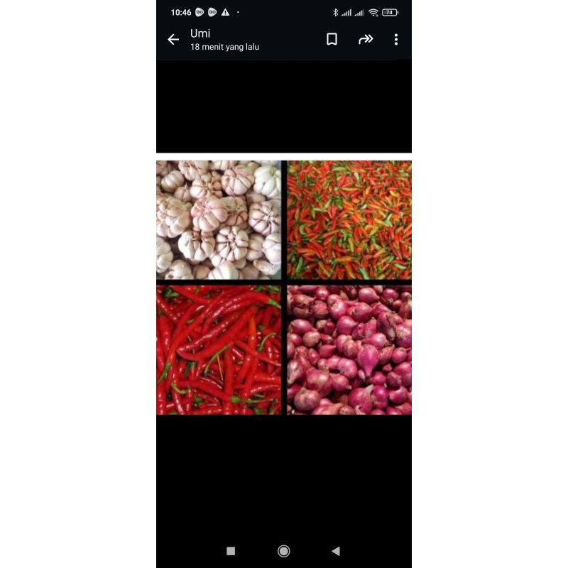 

Bawang merah bawang putih cabe merah dan cabe rawit pllus rampe plus teras 1 kgi