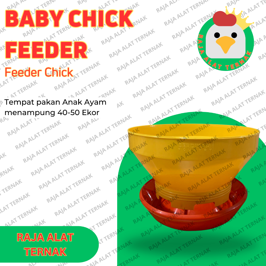 Raja Ternak Baby Chick Feeder / Tempat Pakan Anak Ayam - Alat Ternak Ayam