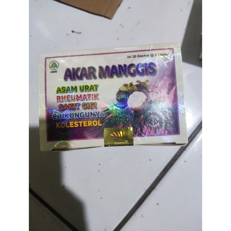 Akar Manggis