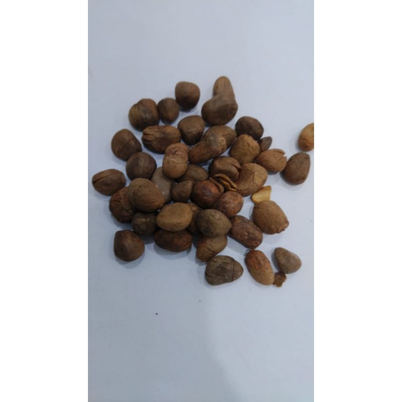 

10 G 50 GR 100 GRAM 大风子 大枫子 DA FENG ZI CHAULMOOGRATREE SEED